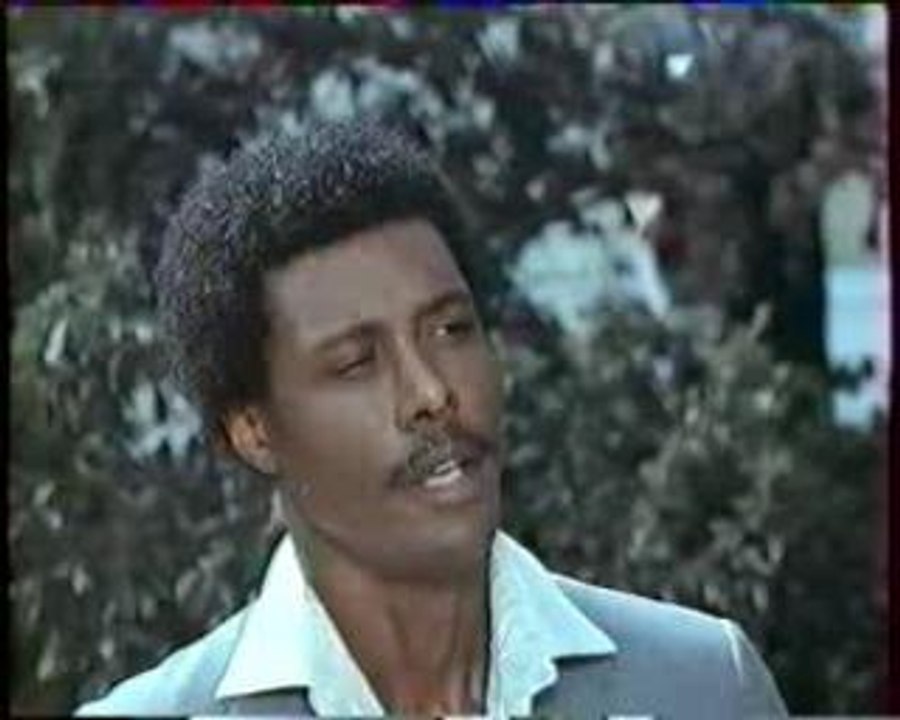 Samurai Cop