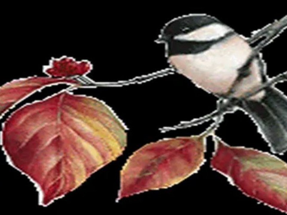 Sensüz bu gönül meclis-i ıyş ü demi n'eyler