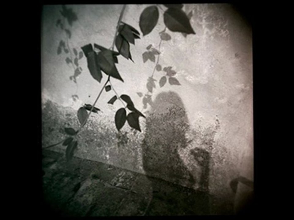 Ey şeyh-i melek cefâ ü cevr ile inletme beni