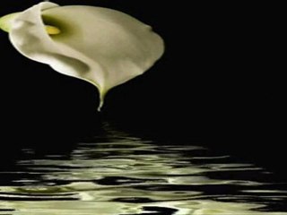 Bende artık ne küfür kaldı ne iman