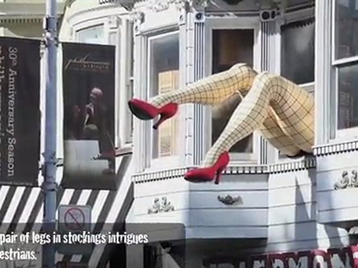 ⁣Bizarre Sightings - Giant Legs