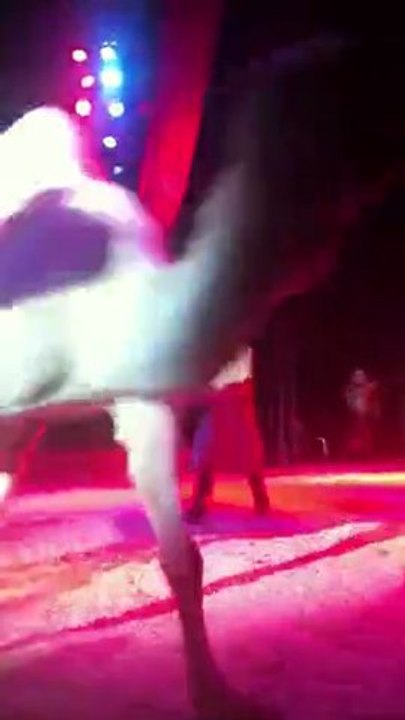 Spectacle Cirque Zavatta 03/03/11