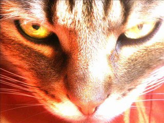 cyberpunk city INTRO