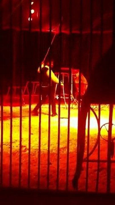 Spectacle Cirque Zavatta 03/03/11