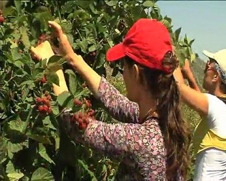 Sülayman demirel Üniversitesi ziraat fakultesi tanitim