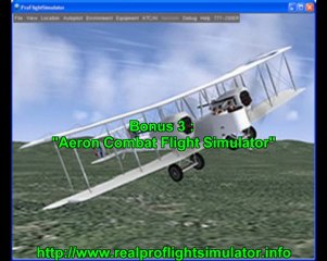 Real Life Flight Simulator