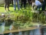 Piscine naturelle BioNova - Tendance au Bois