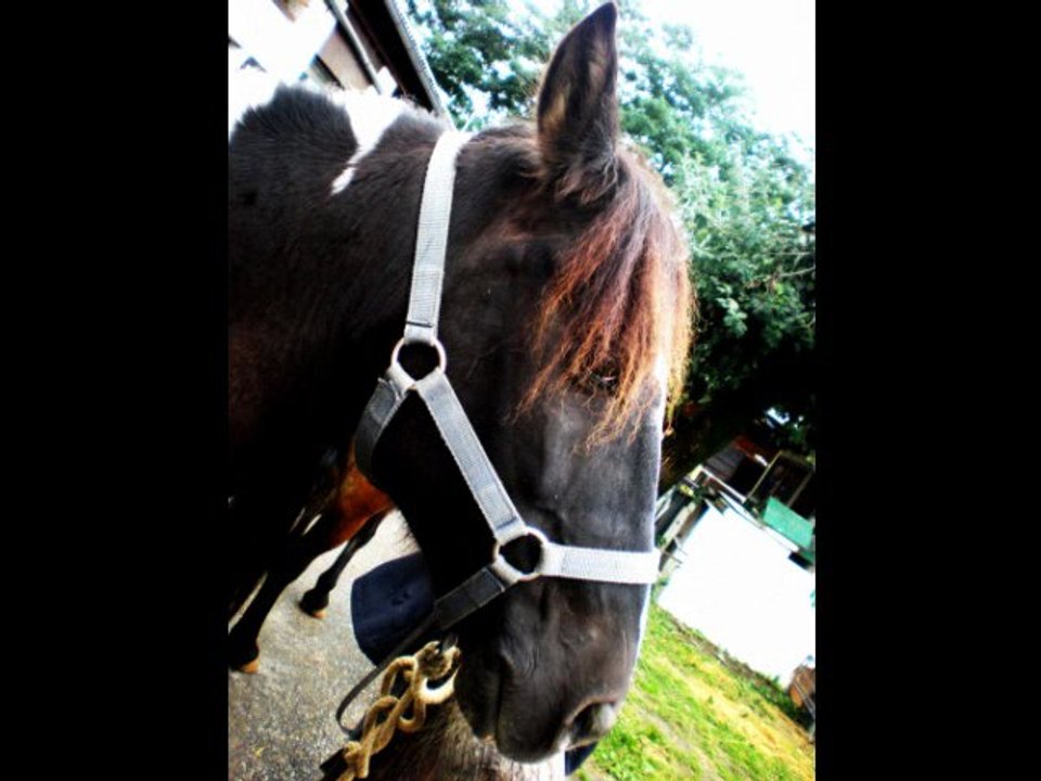 Dadou ♥