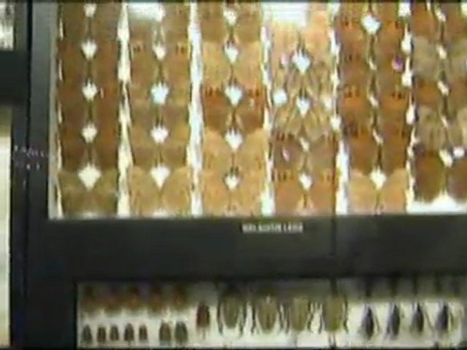 Mauritius La Vanille Park