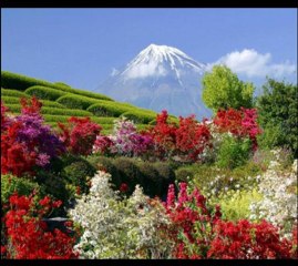 ELİZ AVAROĞLU-HİSÂR PEŞREV&ATEŞİNDİR A GÜZEL SEVGİYİ SEVDA