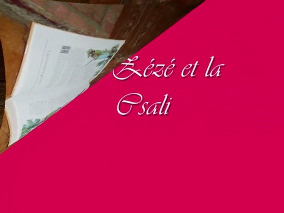 Les histoires de Csali 2 * La Zézé et la Csali*