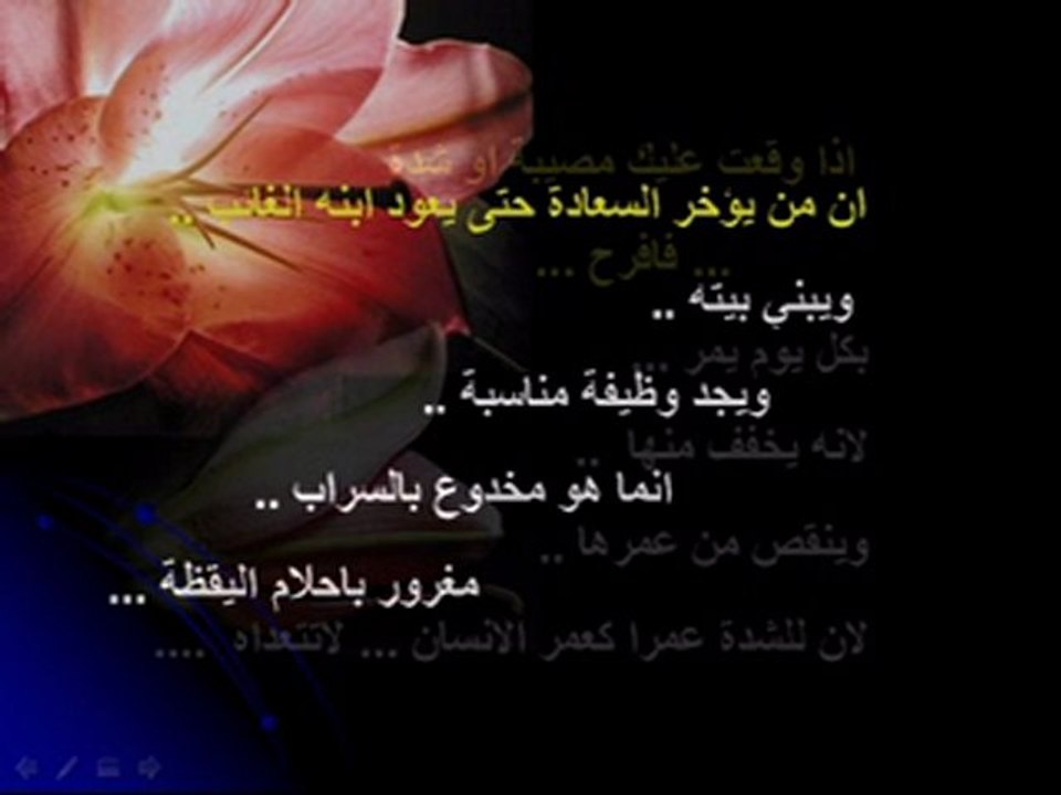 أين السعادة؟