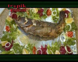 ulupınar tropik tanıtım film