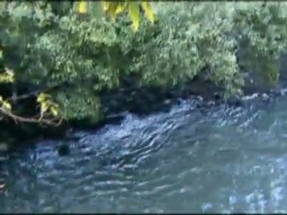 Mauritius Rochester Falls