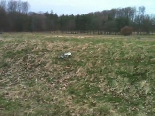 T4.1 team asso petit saut