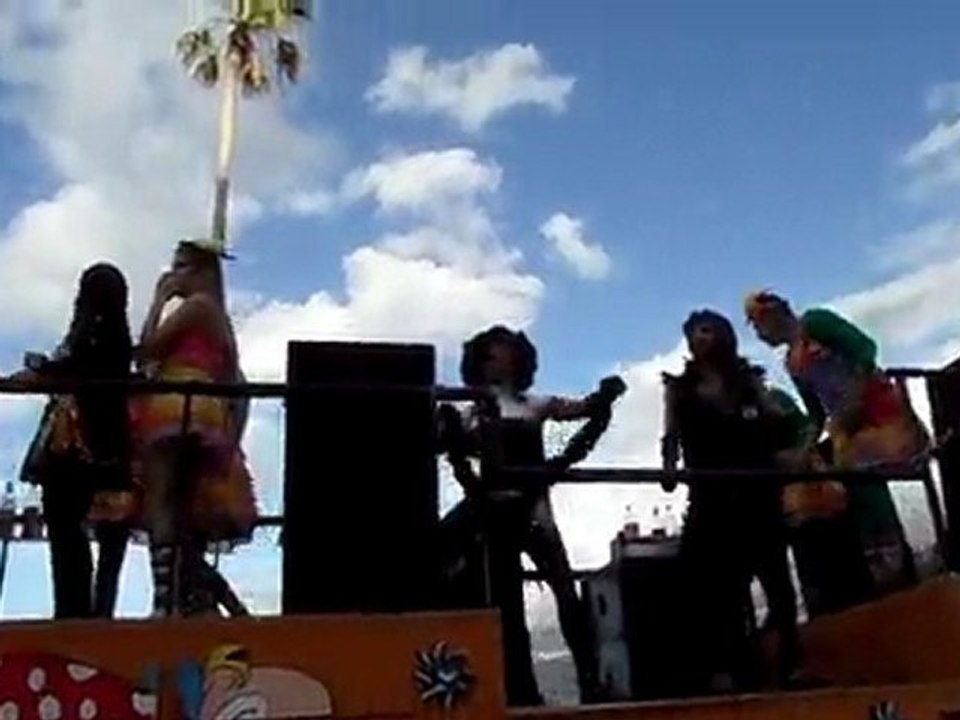 carnaval 2011 (1)