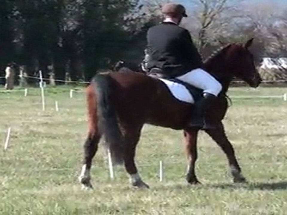 dressage villelaure