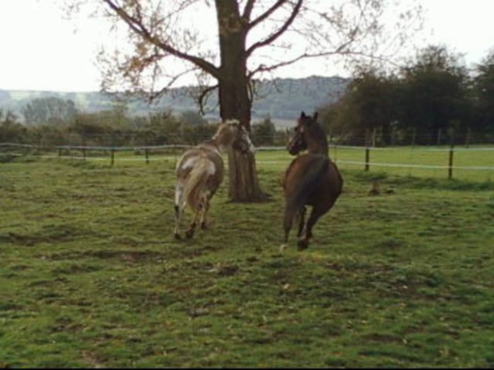 Mon Film 1