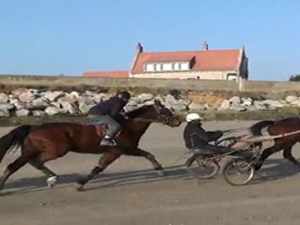 SPEEDER HORSE ET TOGETHER SUR LA PLAGE AVEC ROBIN