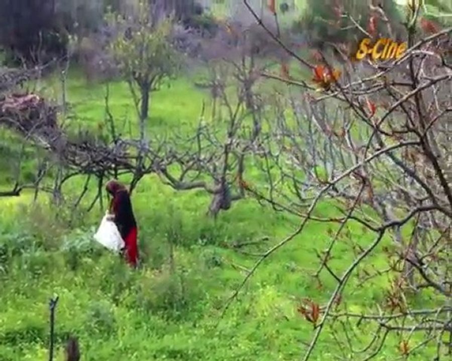 Mélodie Populaire - Nature Kabyle