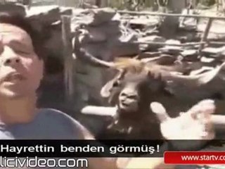 Hayrettin ' in Laması - Hayrettin  ' den