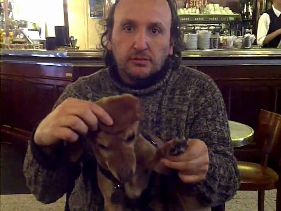 Le Chien IMITATEUR