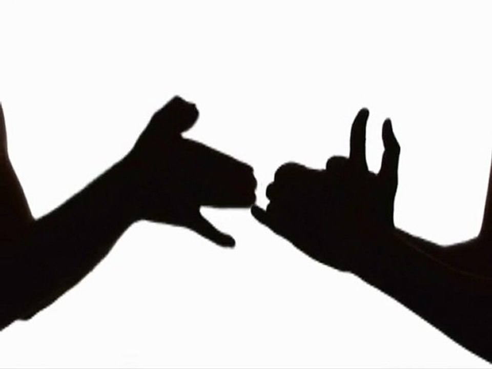 Social media creates kibble paying customers