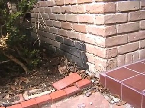 Houston Home Inspector: Flower Box Residue on House
