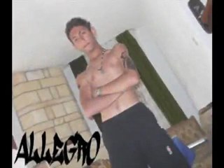 Allegro - Sese Kulak Ver 2011