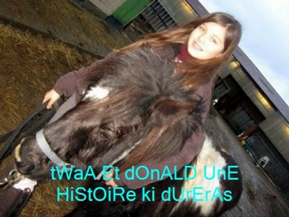 Moi Boulette    Jade Donald The trio musicale