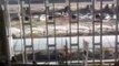 Japan: Tsunami engulfs Sendai Airport