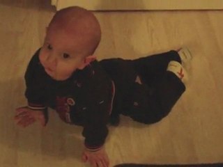 4 pattes ça c'est mieux