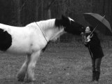 Libertivi.com > Sur les planches > Liberté sous un parapluie