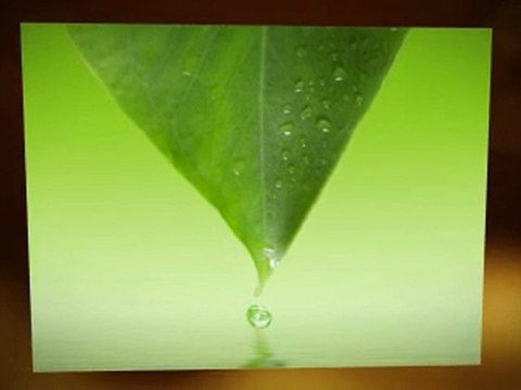 symptoms of angina in women