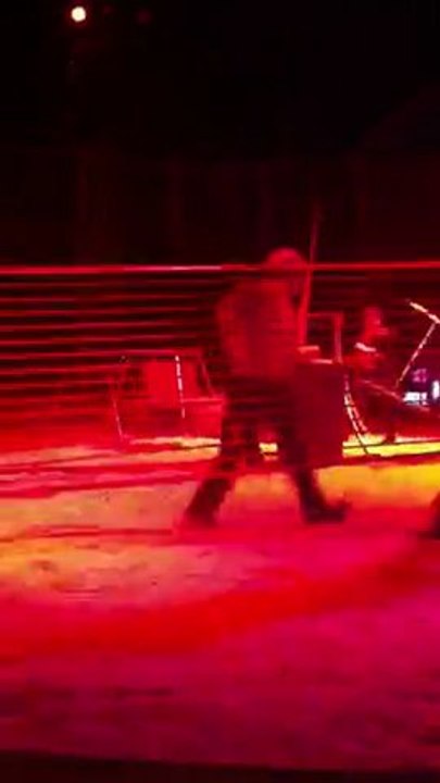 Spectacle Cirque Zavatta 03/03/11