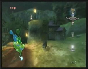 Zelda Twilight Princess Walkthrough Part 6 -  the Shield and the Sword