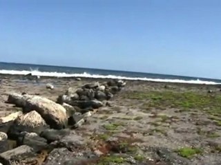 Cap 24 La Playa del Chivo