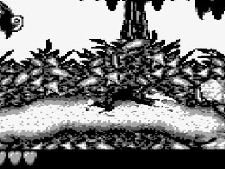 Test de Donkey Kong Land ( Game boy )