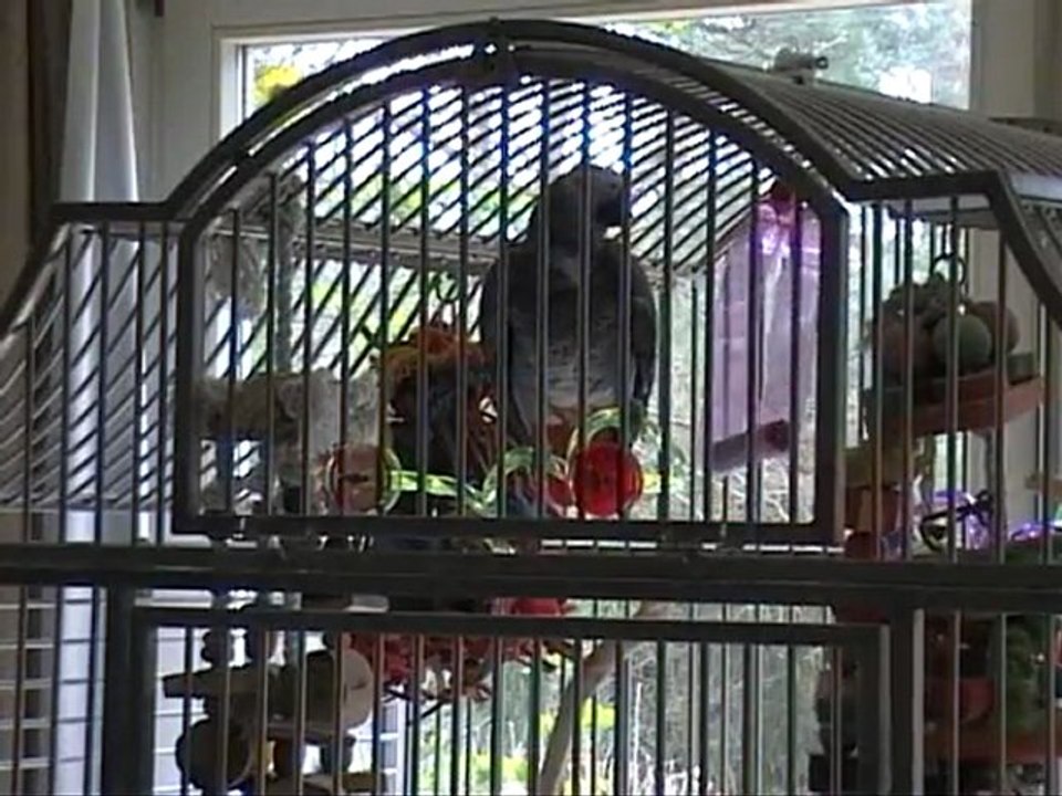 Enzo, pourquoi tu rales?