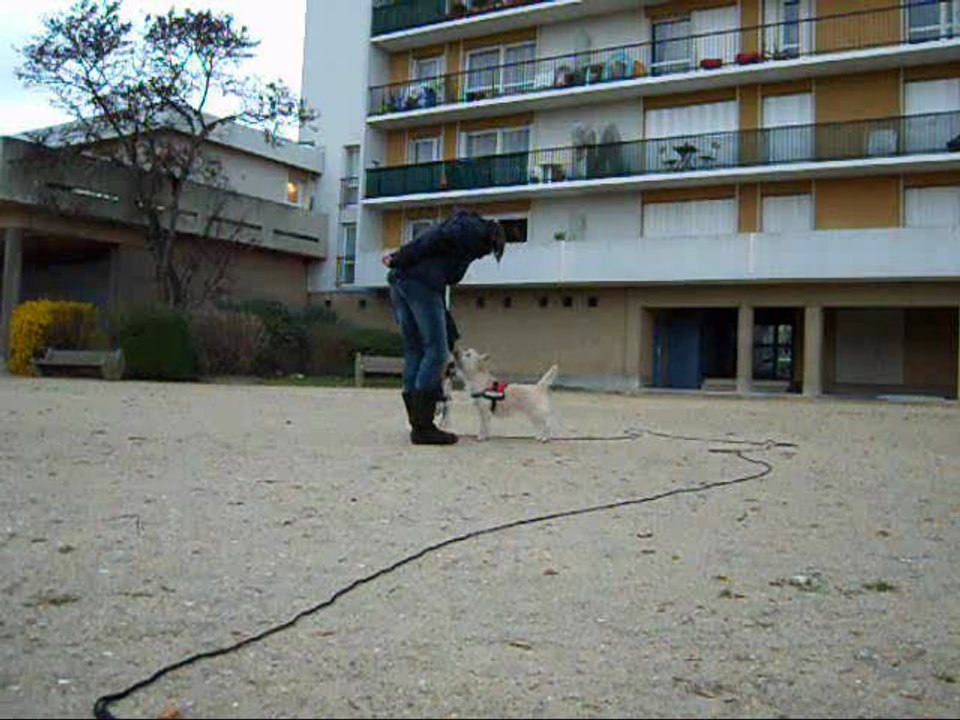 Fanzy au clicker