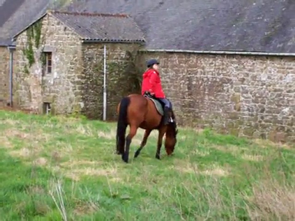 Piquepaille 12 mars 2011 010