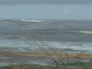 Tempête plage San-Pellegrino à Folelli 13 mars  à 17h