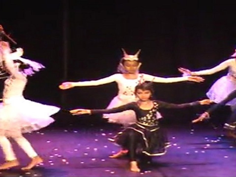 හංස නැටුම - danse du cygne