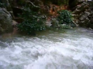 ragas en eau le 13/03/11