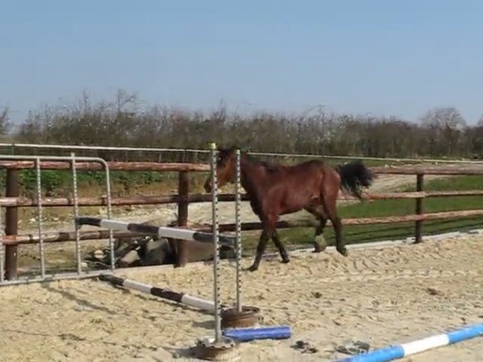 ULTIME DU BIDOU