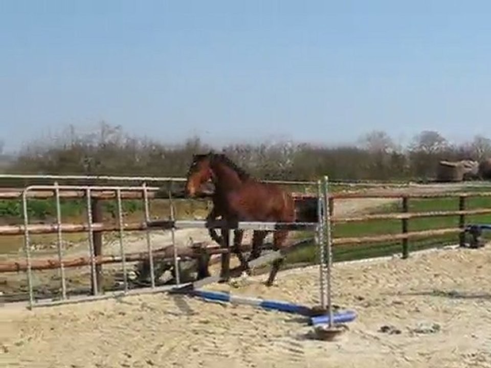 ULTIME DU BIDOU