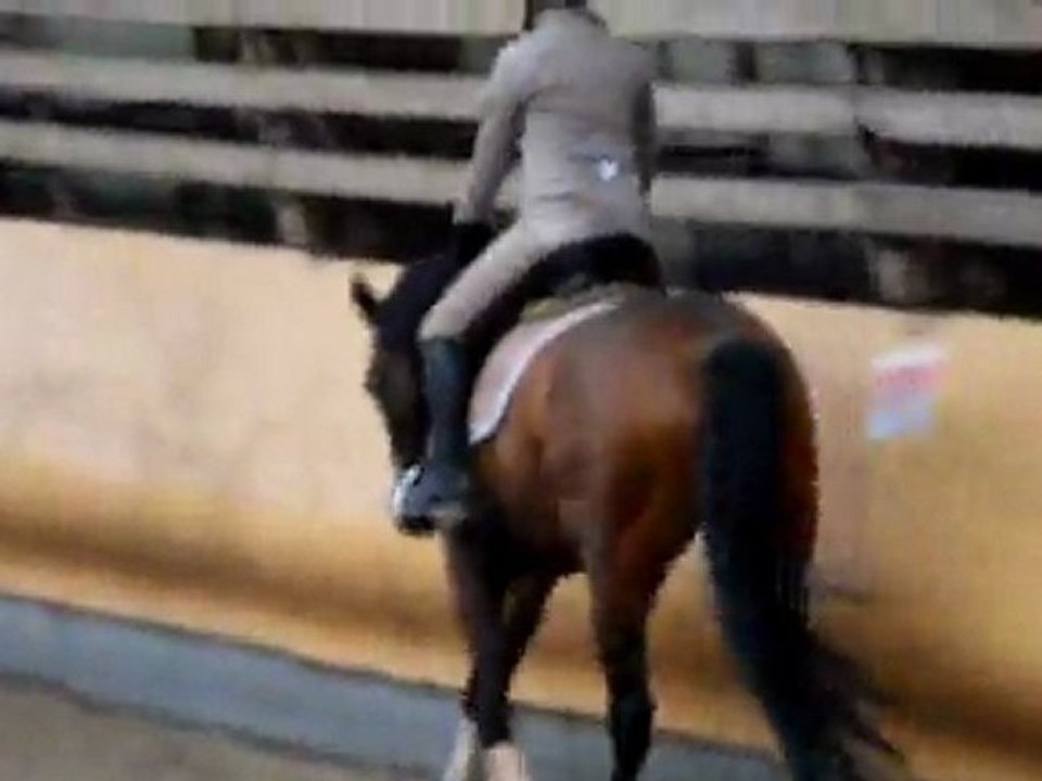 Eckwer le 13.03.11 007