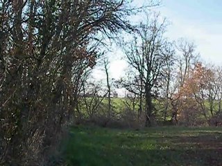 probleme 450 yfz 2004