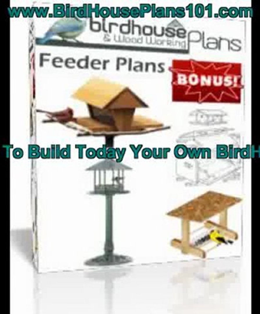 The Best Bird Feeder Plans For Birding Video Dailymotion