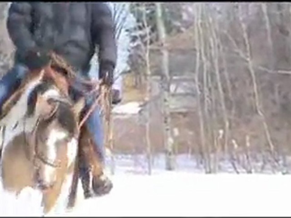 entrainement de Zipped QT